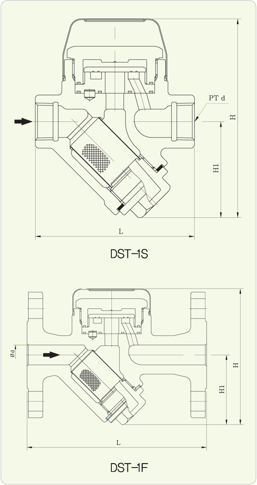 dst-1s1f_02